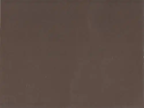 Gruppenfoto im Freien, Fotografie. Fotobild, ca. 1920, gebraucht, gut