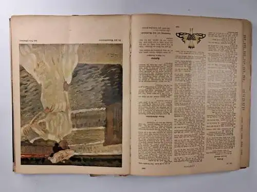 Buch / Zeitschrift: Konvolut der "Jugend", 32 Hefte in 1 Band, 1905-1914
