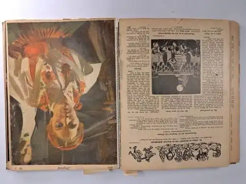 Buch / Zeitschrift: Konvolut der "Jugend", 32 Hefte in 1 Band, 1905-1914