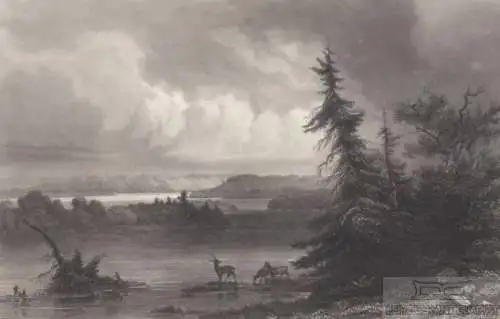 Itasca Lake (Quelle des Mississippi). aus Meyers Universum, Stahlstich. 1850