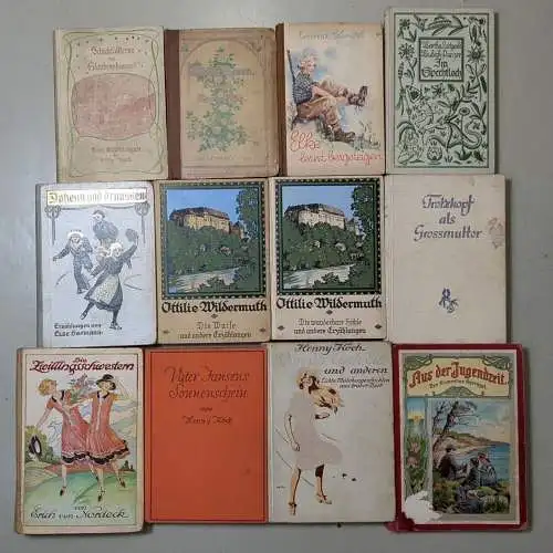 12 Mädchenbücher: Spechtloch, Waise, Daheim und draußen, Weiße Rosen, Elke ...