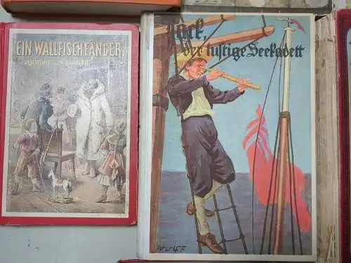 19 Bücher Jugend Abenteuerbücher: Seeräuber, Wildtöter, Pfadfinder, Mohikaner...