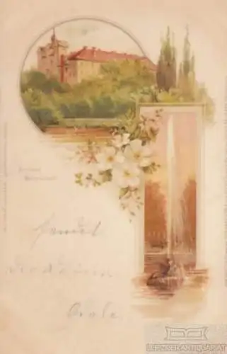 AK Schloss Ballenstedt. ca. 1900, Postkarte. Ca. 1900, Verlag Julius Neumann