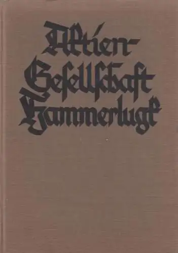 Buch: Aktien-Gesellschaft Hammerlugk, Schröder, Karl. 1928, Erzählung