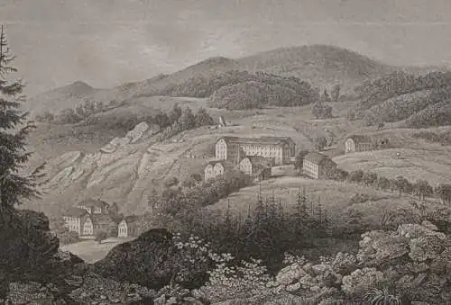 Stahlstich: Graefenberg, Schlesien, Ansicht, Originalgrafik, Bibliografisch