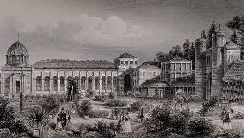 Stahlstich: Carlsruhe, Der neue Wintergarten, Ansicht, Grafik, Natur, G. M. Kurz