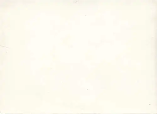 Gruppenfoto Entlassung - Wolfen 30.04.81, Fotografie. Fotobild, 1981