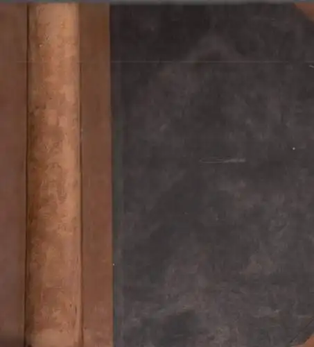 Buch: Philologus Hebraeus, Leusden, Johannes. 1657, Dreunen, gebraucht, gut