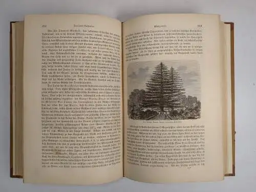 Buch: Australien, Fr. Christmann / Richard Oberländer, 1880, Verlag Otto Spamer