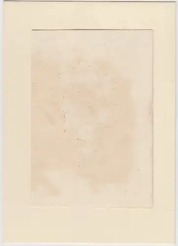 Original Grafik Exlibris: Biblioaber Paolina Monaterssino, Archsuro Monstersfine