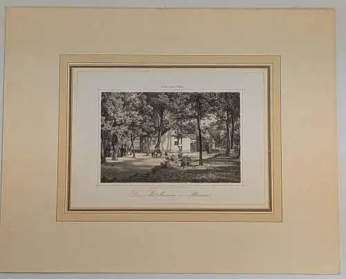 Lithografie: Der Mittelbrunnen in Altwasser, Trewendt & Granier, Grafik, Ansicht