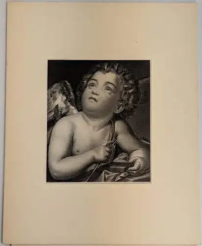 Stahlstich: Amor, Raphael Mengs, Grafik, Portrait, W. French, Dresdner Galerie