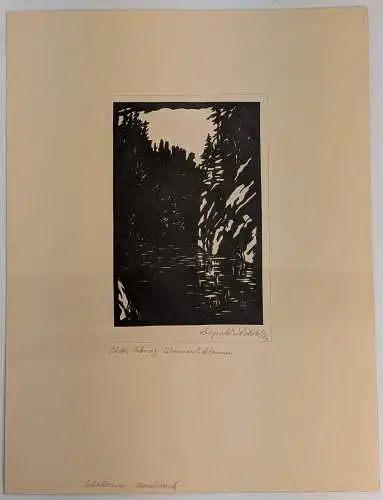 Originalholzschnitt: Sächs. Schweiz, Edmundsklamm, Leopold Wächtler, , um 1950