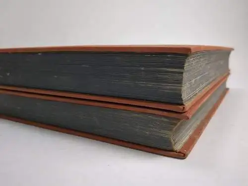 Buch: Decameron, Boccaccio, Giovanni. 2 Bände, 1924, Verlag Neufeld & Henius
