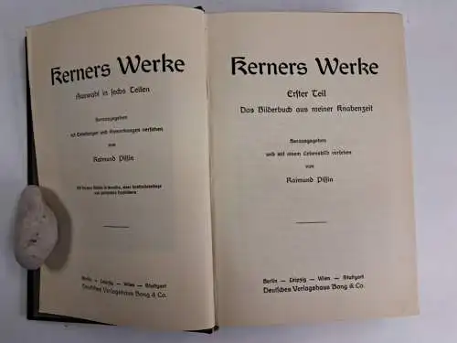 Buch: Kerners Werke, 6 Teile in 2 Bänden, Bong, Goldene Klassiker-Bibliothek