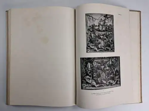 Buch: Die Kunstdenkmäler des Freistaates Sachsen Band 1 - Die Stadt Pirna,