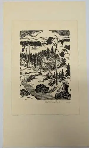 Holzschnitt, Grafik, Ansicht, Landschaft, Kunstdruck, Marianne Rohland