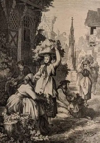 Holzstich: Hopfenernte in Schwaben, Daheim, Grafik, Repro, Th. Piris, 1865
