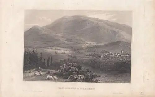 Bad Roznau in Maehren. aus Meyers Universum, Stahlstich. Kunstgrafik, 1850