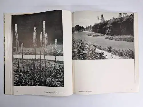 Buch: Das Erlebnis einer Landschaft, Reichsgartenschau Stuttgart 1939, Schlenker