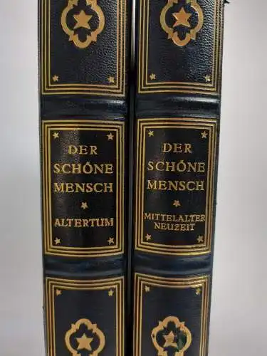 Buch: Der Stil in den bildenden Künsten aller Zeiten, 3 in 2 Bänden, 1922, Hirth