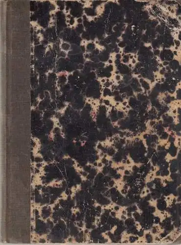 Buch: Ein Bibelblatt, Hoffmann, Franz. 1860, Verlag Schmidt & Spring