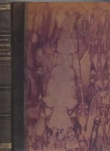 Buch: Goethes äußere Erscheinung, Schaeffer, Emil. 1914, Insel-Verlag