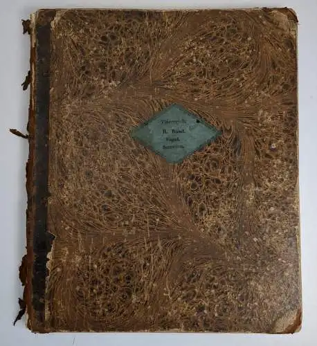 Buch: Oken's Allgemeine Naturgeschichte, Thierreich II. Band Vögel, Insekten