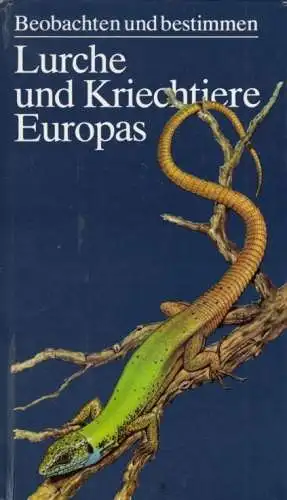 Buch: Lurche und Kriechtiere Europas, Engelmann. Beobachten und bestimmen, 1985