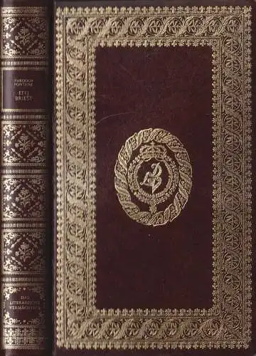 Buch: Effi Briest / Irrungen Wirrungen. Theodor Fontane, Freizeit-Bibliothek