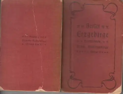 Buch: Wegweiser durch das Erzgebirge, Berlet, Bruno. 1911, Grassers, noch gut