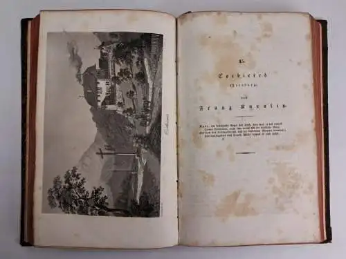 Buch: Die Schweiz in ihren Ritterburgen und Bergschlössern. Band 2, Schwab, 1830