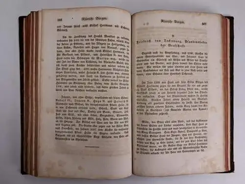 Buch: Die Schweiz in ihren Ritterburgen und Bergschlössern. Band 2, Schwab, 1830
