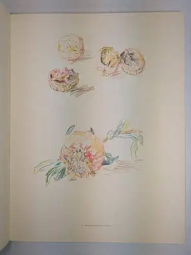 Buch: Florentiner Skizzenbuch, 24 Tafeln, Oskar Kokoschka, 1972, Edition Bucher