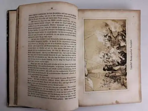 Buch: Reisen zu Wasser und zu Lande. Band 1, T. F. M. Richter, 1858, Arnoldsche