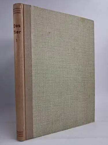 Das Tier Heft 1-12 / 1929, Fritz Peltzer, 12 Hefte, Zeitschrift, gebraucht, gut