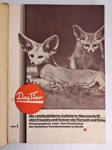Das Tier Heft 1-12 / 1929, Fritz Peltzer, 12 Hefte, Zeitschrift, gebraucht, gut
