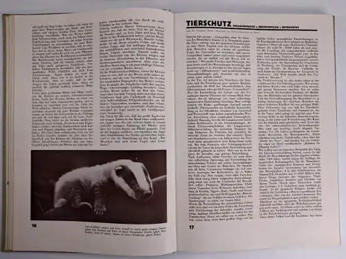 Das Tier Heft 1-12 / 1929, Fritz Peltzer, 12 Hefte, Zeitschrift, gebraucht, gut