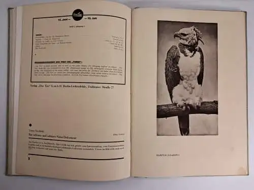 Das Tier Heft 1-12 / 1929, Fritz Peltzer, 12 Hefte, Zeitschrift, gebraucht, gut