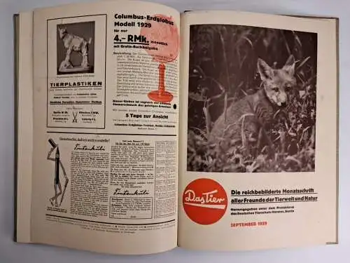 Das Tier Heft 1-12 / 1929, Fritz Peltzer, 12 Hefte, Zeitschrift, gebraucht, gut