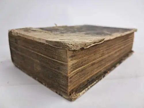 Buch: Fabellae Aesopicae Quaedam ... Joachim Camerarius, Äsop, 1703, Liebezeit