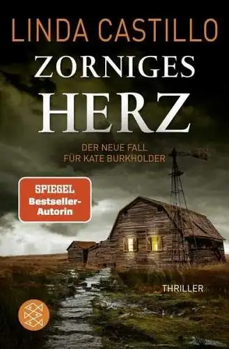 Buch: Zorniges Herz, Castillo, Linda, 2004, FISCHER, gebraucht, sehr gut