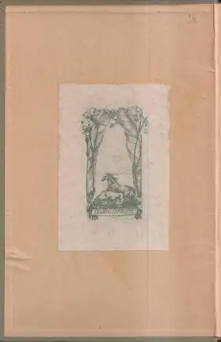 Buch: Die Kirchliche Barockkunst in Österreich. Martin P. Riesenhuber, 1924