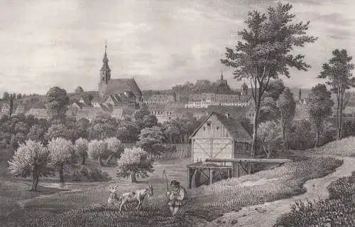Lithografie: Hohenstein, Grafik, Ansicht, um 1836, Saxonia, Eduard Pietzsch