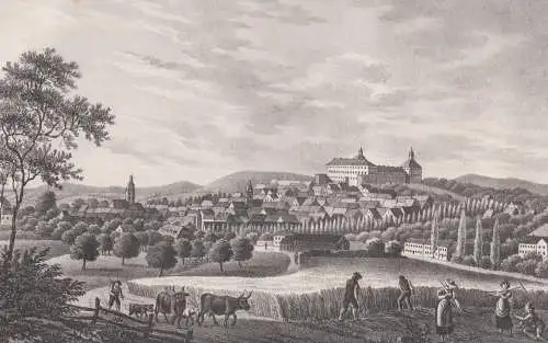 Lithografie: Gotha, Eduard Pietzsch, Grafik, um 1836, Ansicht, Thüringen