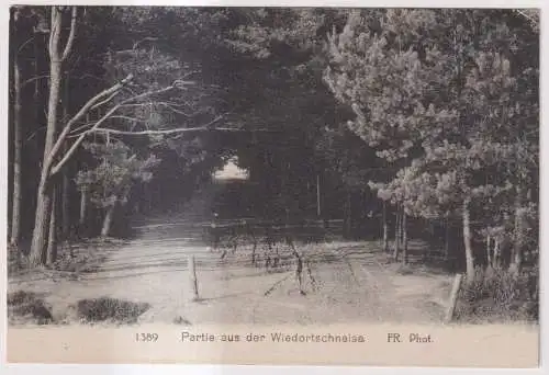 AK Partie aus der Wiedortschneise, Ostsee, Graal-Müritz, Bartelsmann, Postkarte