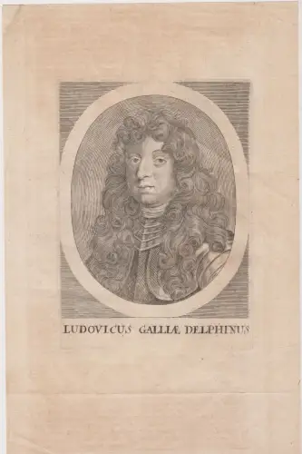 Kupferstich: Lusovicus Gallae Delphinus, Original, um 1690, Theatrum Europaeum