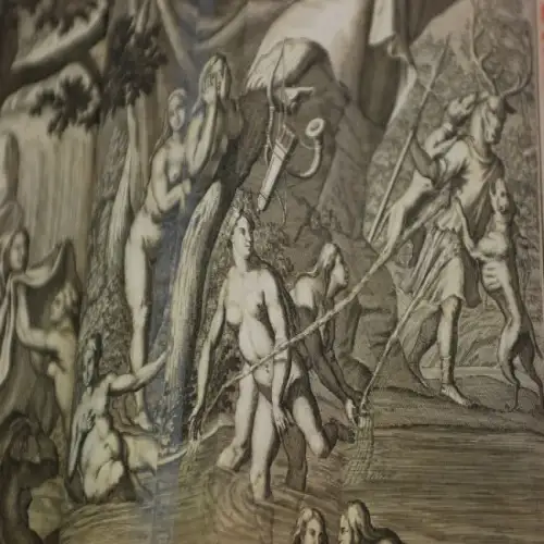 Buch: Des vollkommenen Teutschen Jägers Anderer Haupt-Theil, Fleming. 1724