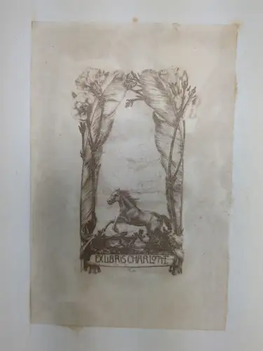 Buch: Bayerisches Rokoko, Feulner, Adolf, 1923, Kurt Wolff Verlag, gebraucht gut