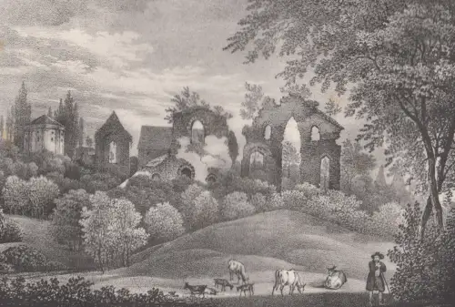 Lithografie: Ruinen des Klosters Altenzelle bey Nossen, um 1836, Eduard Pietzsch